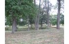 Property photo 83 - 80 Acres Offered in 4 Tracts - Horse Farm